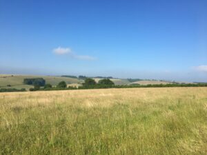 wiltshire field